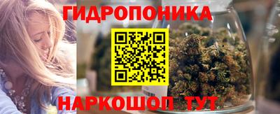 индика Лесосибирск