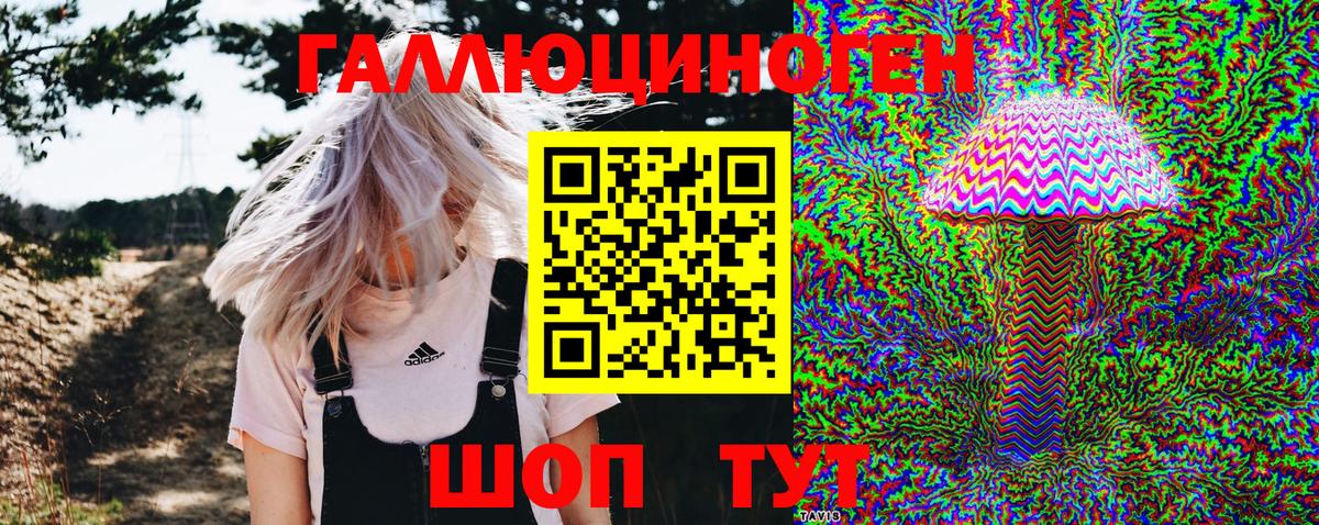Галлюциногенные грибы GOLDEN TEACHER Грязи