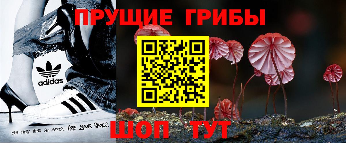 Галлюциногенные грибы MAGIC MUSHROOMS  Вход с VPN  Псилоцибиновые грибы Psilocybine cubensis  Грязи 